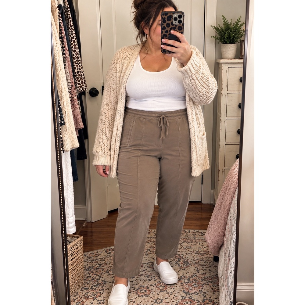 J.Jill Pull On Straight Leg Pants 3X Taupe Brown Drawstring Elastic Waist